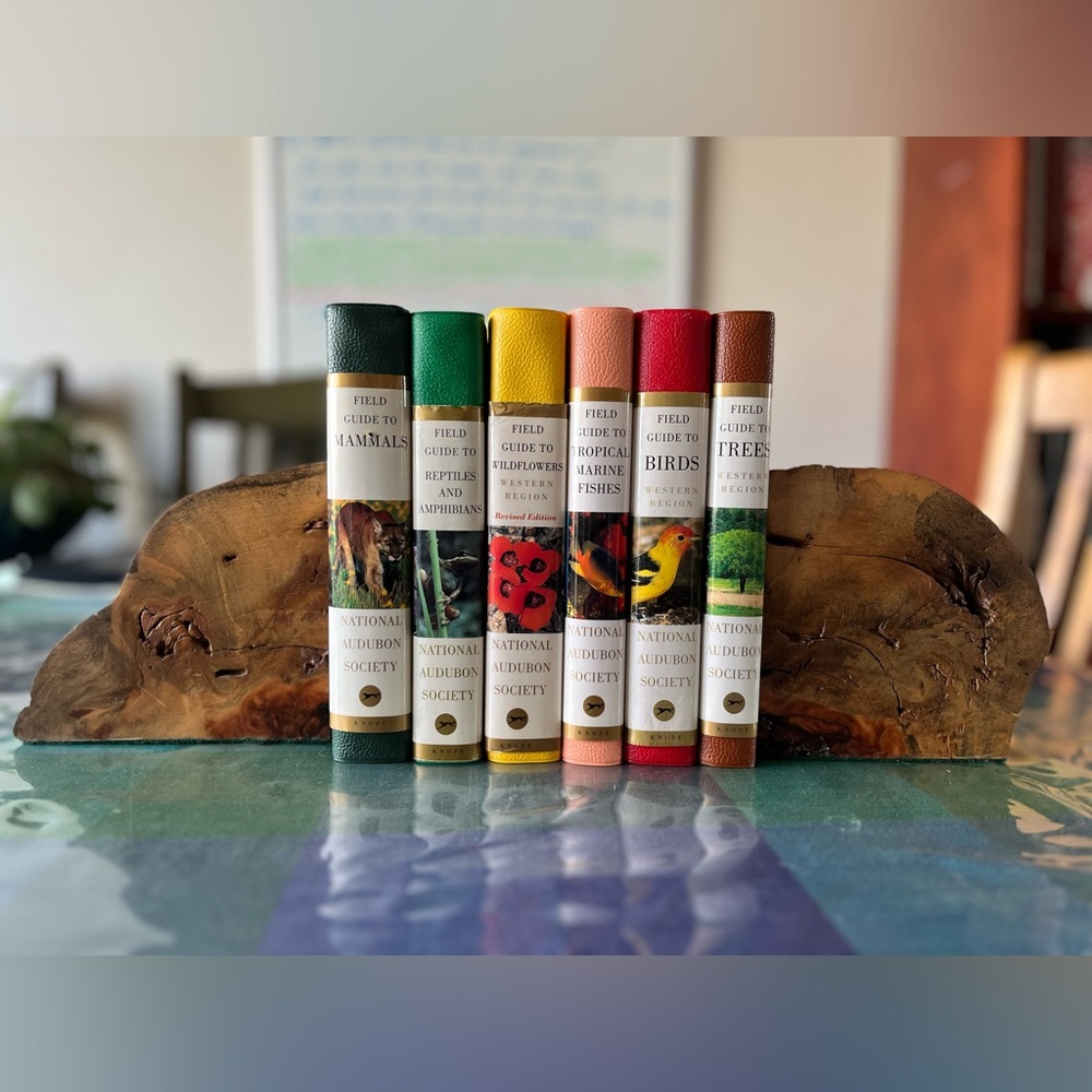 National Audubon Society Field guide Series. Set of 6 - Picture 2 of 2